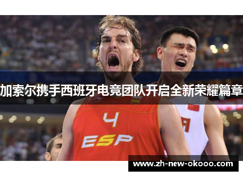加索尔携手西班牙电竞团队开启全新荣耀篇章 加索尔携手西班牙电竞团队开启全新荣耀篇章