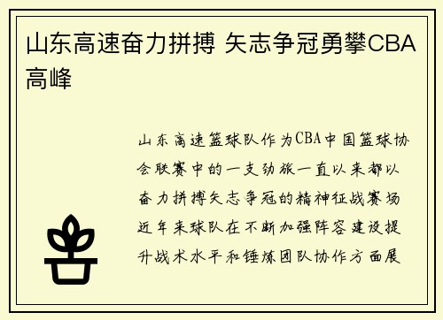 山东高速奋力拼搏 矢志争冠勇攀CBA高峰